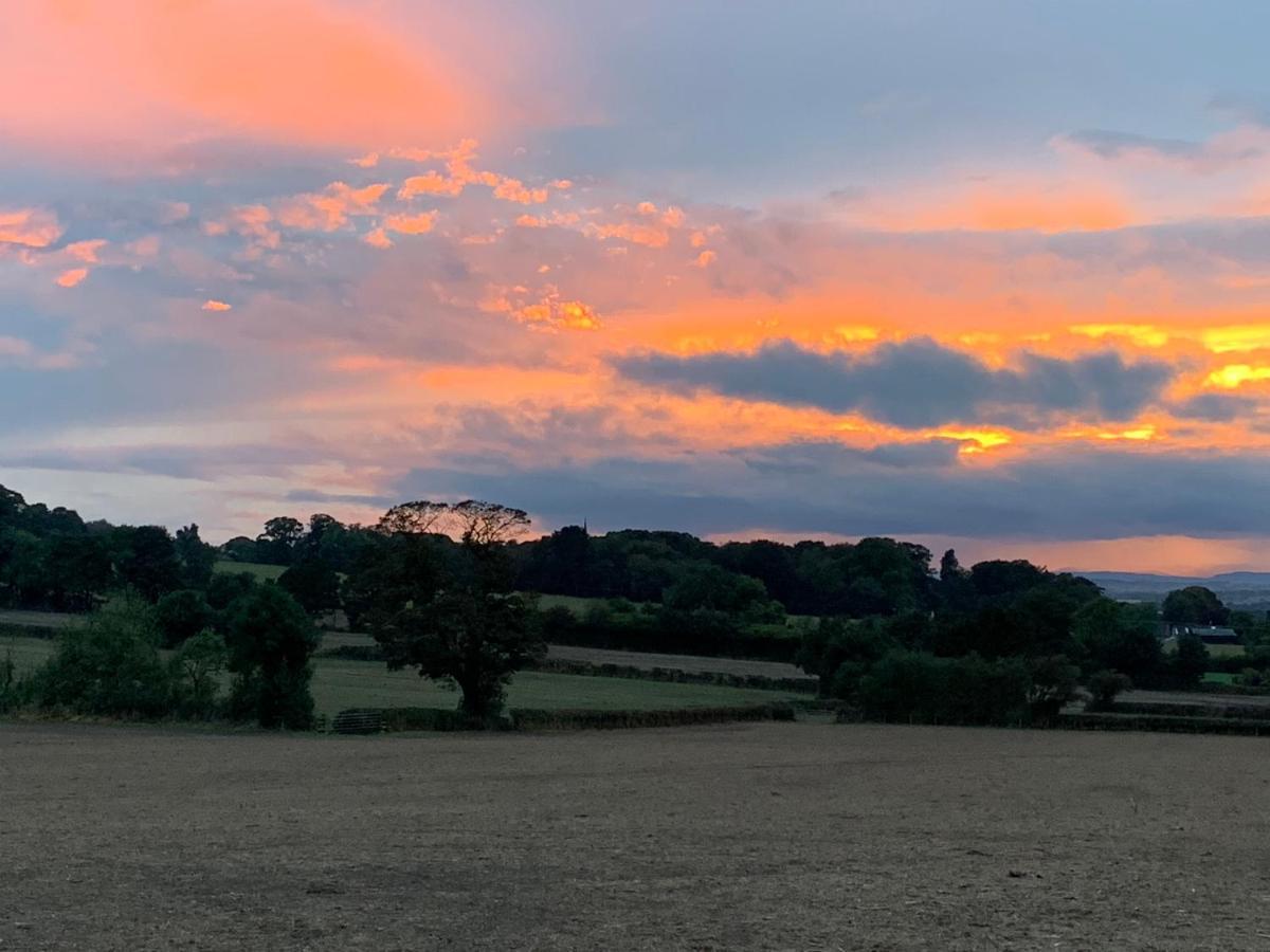 Farmhouse Studio Near Shrewsbury Grinshill Exteriör bild
